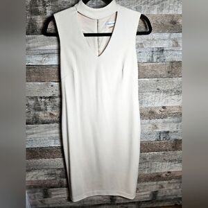 Calvin Klein Dress Size 4 Blush Colored Mini Dress